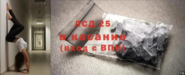 стафф Алексин