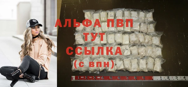 стафф Алексин