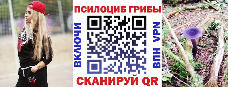 мега вход Алупка Псилоцибиновые грибы Psilocybine cubensis